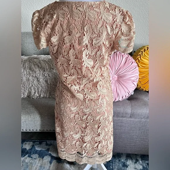 Blush Nude Crochet Lace Sheath Dress by Michael K - Picture 6 of 9